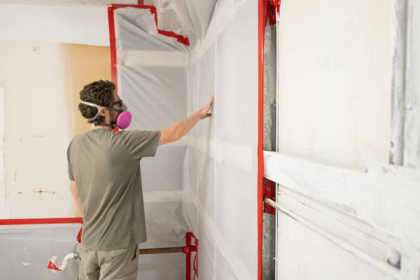 Best Basement Mold Removal  in Marana, AZ