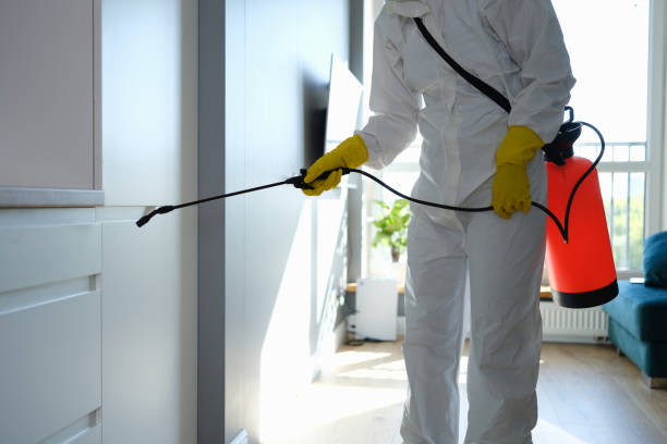 Professional Mold Removal in Marana, AZ